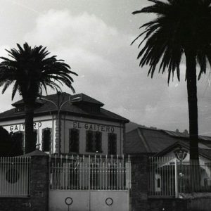 MPA008