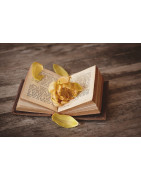 Libros